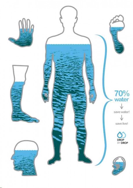 人の体　70％が水分　1